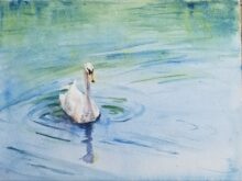 Swan Song - Watercolor