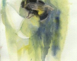 Bumble Bee Watercolor